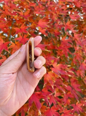 籽料红沁仿古龙皮带扣