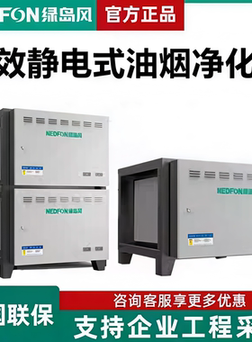 绿岛风油烟净化器商用环保除烟