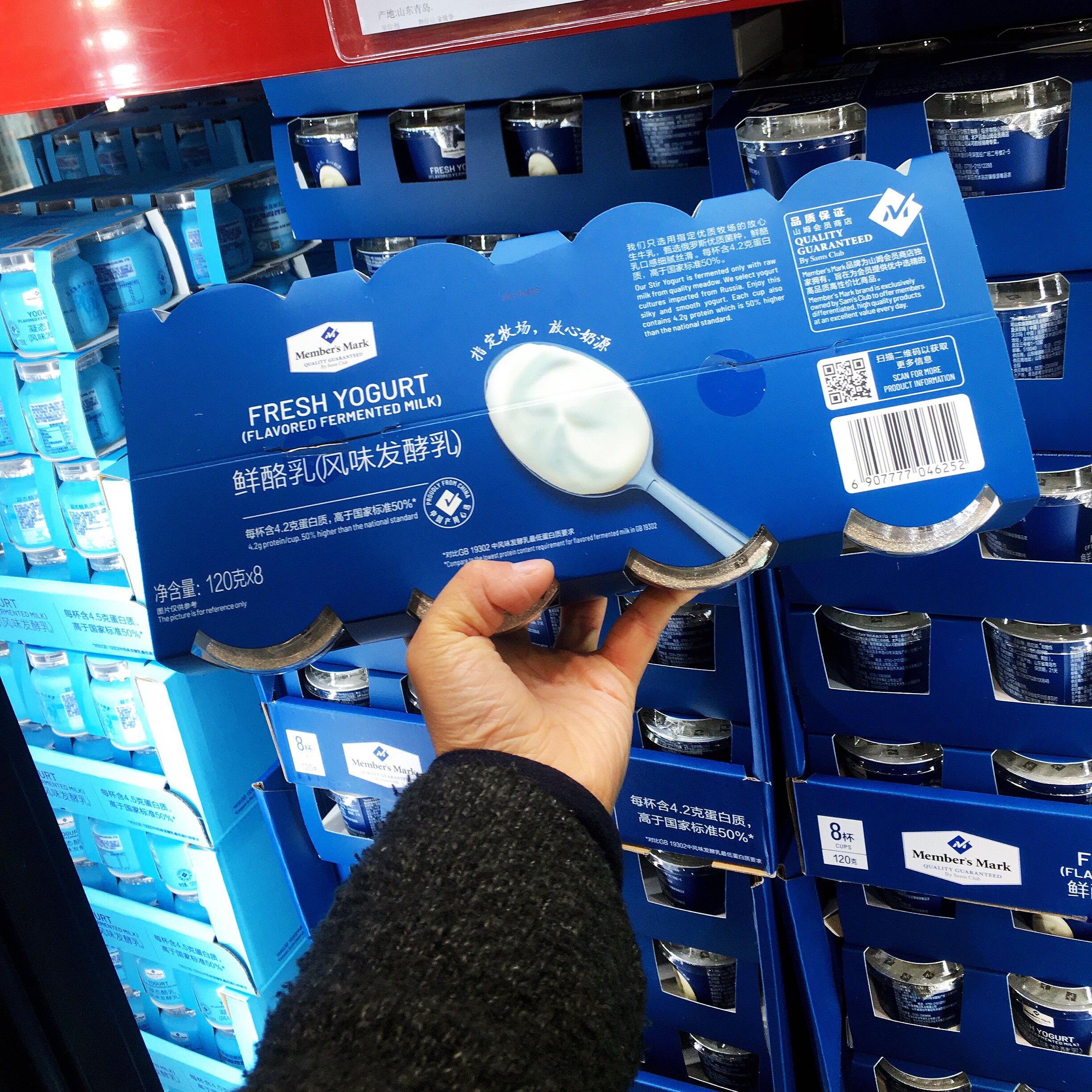 山姆会员店 鲜酪乳 120g*8支 酸奶 生牛乳发酵 超市 顺丰发货
