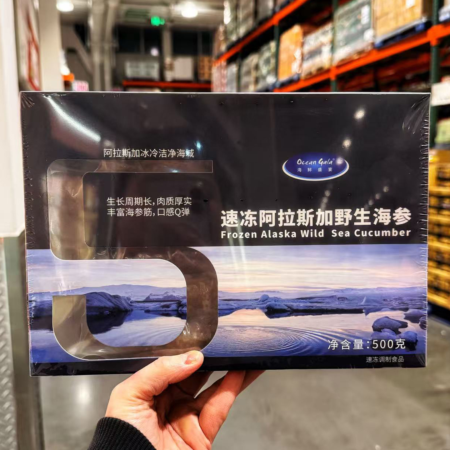 上海开市客速冻阿拉斯加野生海参500g 无需泡发即食 顺丰干冰冷链