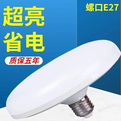 LED220V室内外超亮白光照明光源