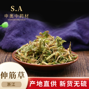 新货伸筋草50g 舒筋草大伸筋草 伸筋草泡脚