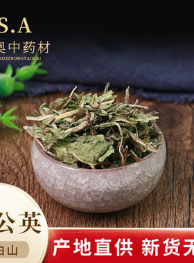 中药材浦公英黄花地丁