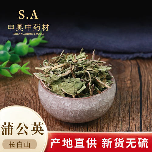 中药材浦公英黄花地丁