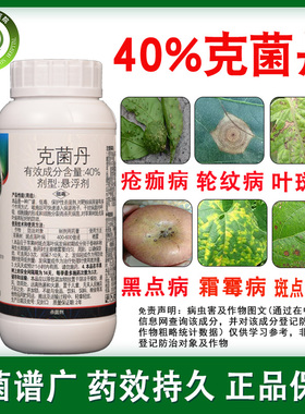 克菌丹果树苹果葡萄桃树腐烂病疮痂病炭疽病斑点落叶病农药杀菌剂