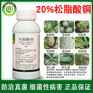 20%松脂酸铜 果树蔬菜柑橘溃疡病芒果角斑病白菜软腐病农药杀菌剂