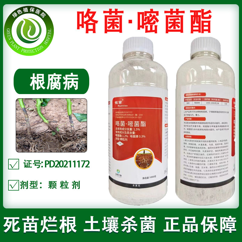 锐苗1.5%咯菌嘧菌酯辣椒根腐病