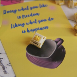 小奶龙轴 闷响HiFi轴体麻将音客制化机械键盘热插拔五脚线性轴