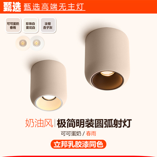 可可蛋奶中古奶油风圆弧形明装 射灯智能调光客厅无主灯筒灯斗胆灯