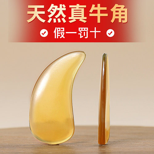 进口牛角古筝指甲演奏考级款