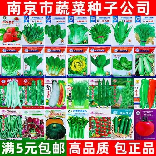精品蔬菜种子大全新种子发芽高
