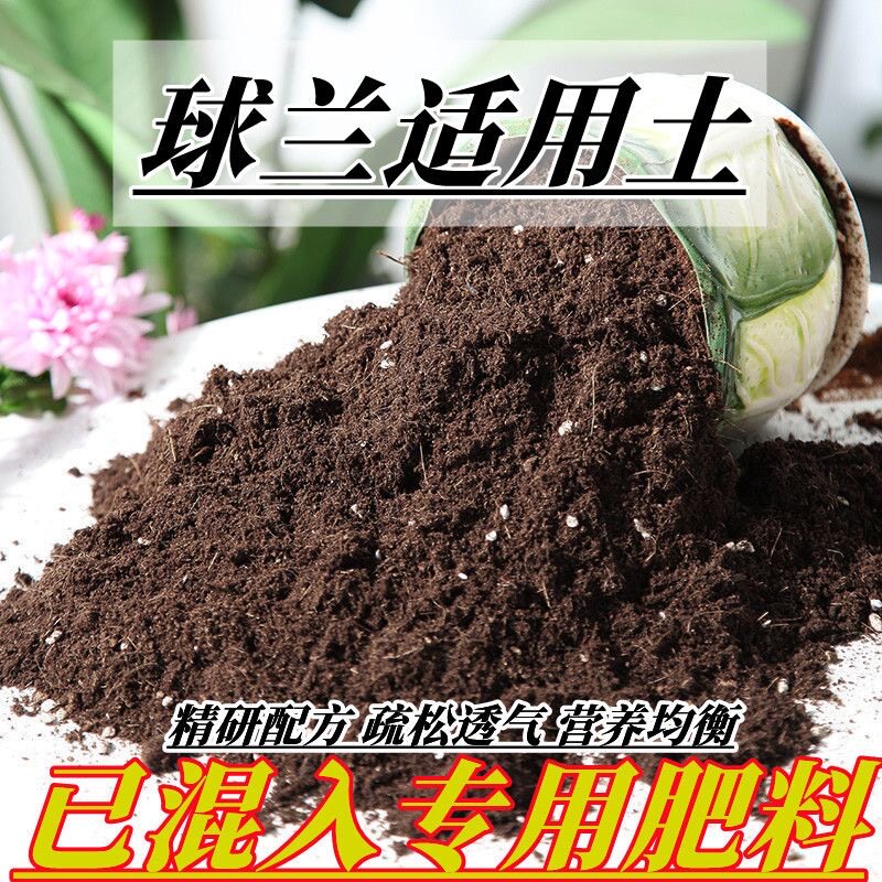 球兰专用土养花营养土疏松透气弱酸性沙质椰糠花土盆栽营养土批发图片