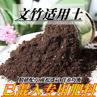 文竹土盆栽种植文竹专用土酸性土壤沙性土家庭绿植通用营养土花肥
