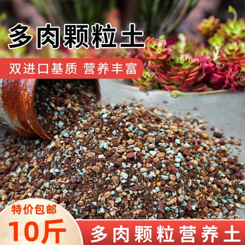 多肉土专用营养土肉肉颗粒土植物种植土铺面石叶插泥炭土壤纯颗粒