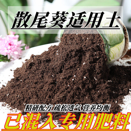 散尾葵适用土盆栽种植小盼菩提适用土酸性土椰糠泥炭土壤营养土