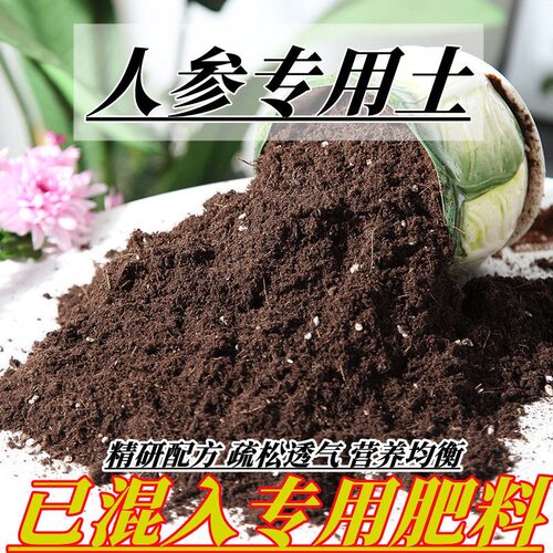 人参适用营养土疏松透气弱酸性
