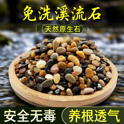 天然原生溪流石底砂鱼缸底砂造景内饰铺底石雨林铺地石庭院小石子