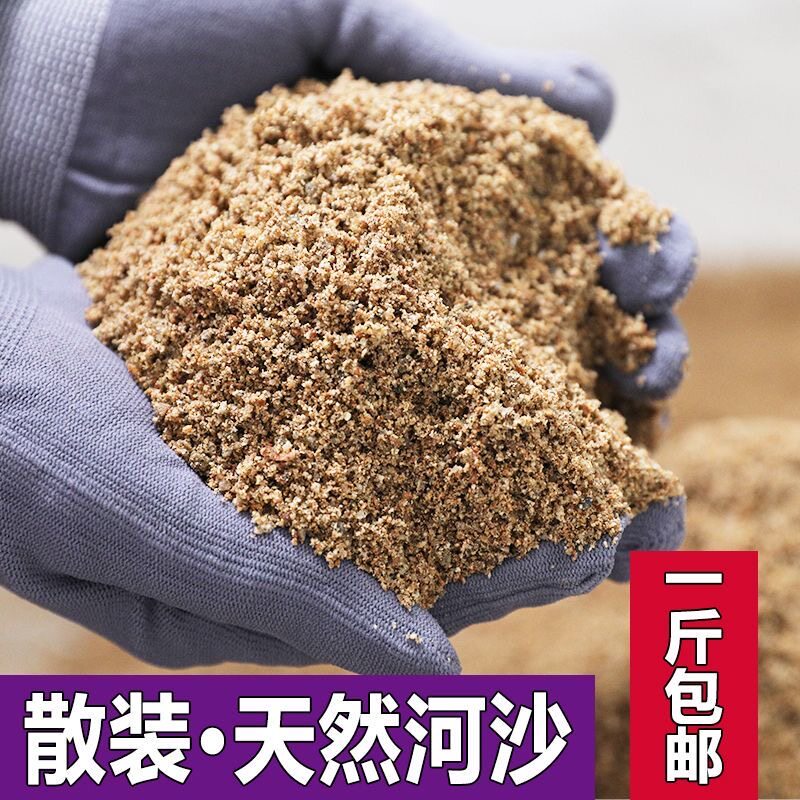 优质环保河沙混合细沙绿植宠物儿童沙多肉铺面园林造景鱼缸底沙土