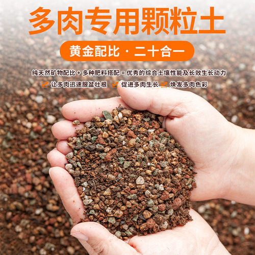 多肉植物营养专用配方叶插泥炭