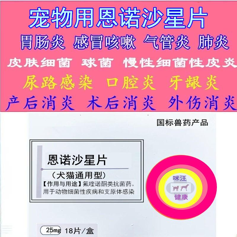 猫狗细菌呼吸道感染泌尿生殖感染