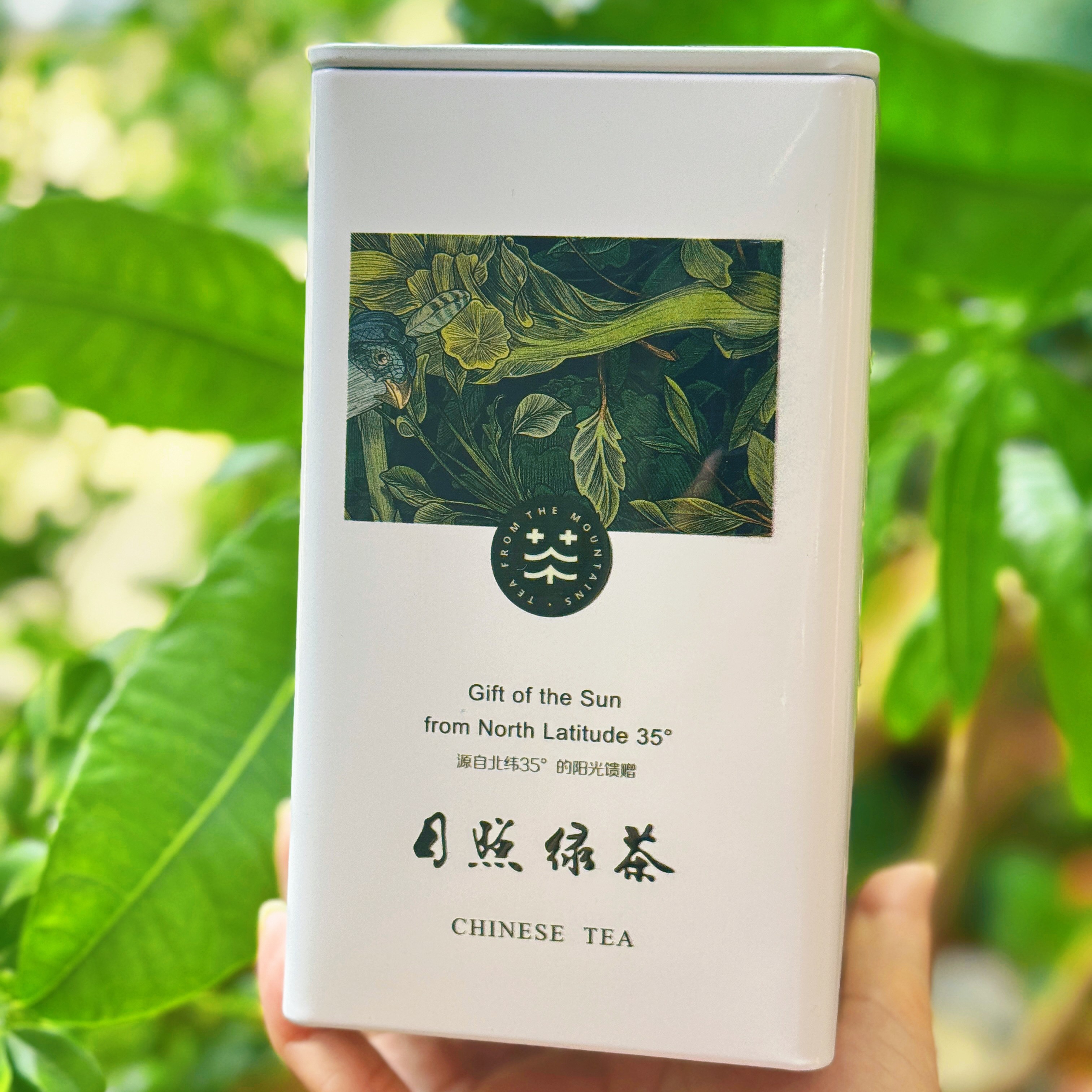 桂花龙井包装茶叶罐铁罐马口铁盒100克茶罐密封茶叶罐定制空罐子图片