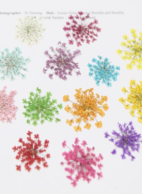 蕾丝花雪珠花干花押花美甲相框