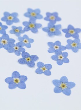 diy相框滴胶手机壳材料干花真花