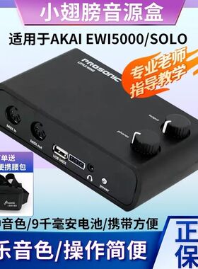 小翅膀电吹管音源盒雅佳AKAI EWI4000 5000 SOLO民乐音色琵琶爵士