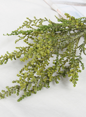 大地农园鼠麹草01760进口永生花玻璃罩圣诞情人节手工DIY材料包