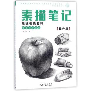 著作 提升篇 编者 安徽美术出版 社 绘画美术技法教程图书 素描基础教程 著 一米时光 素描笔记 画画艺术书籍