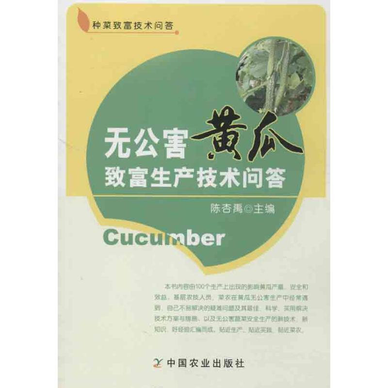 新华书店 全新正版