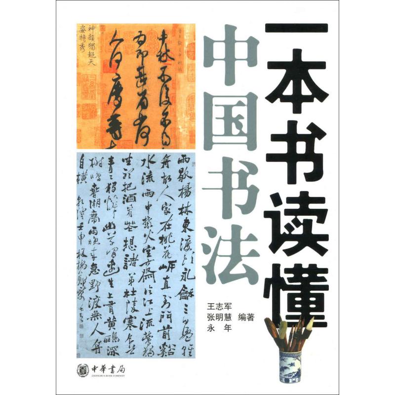 一本书读懂中国书法王志军,张明慧,永年著中国传统书法理论书艺术类书籍中华书局