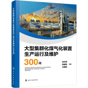 著 置生产运行及维护300问 王国梁 大型集群化煤气化装 化工技术 社 琪 化学工业出版 赵元 9787122473479 陈鹏程 专业科技 主编