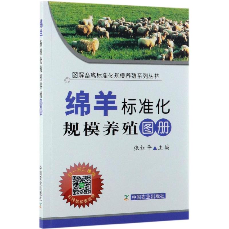 新华书店 全新正版