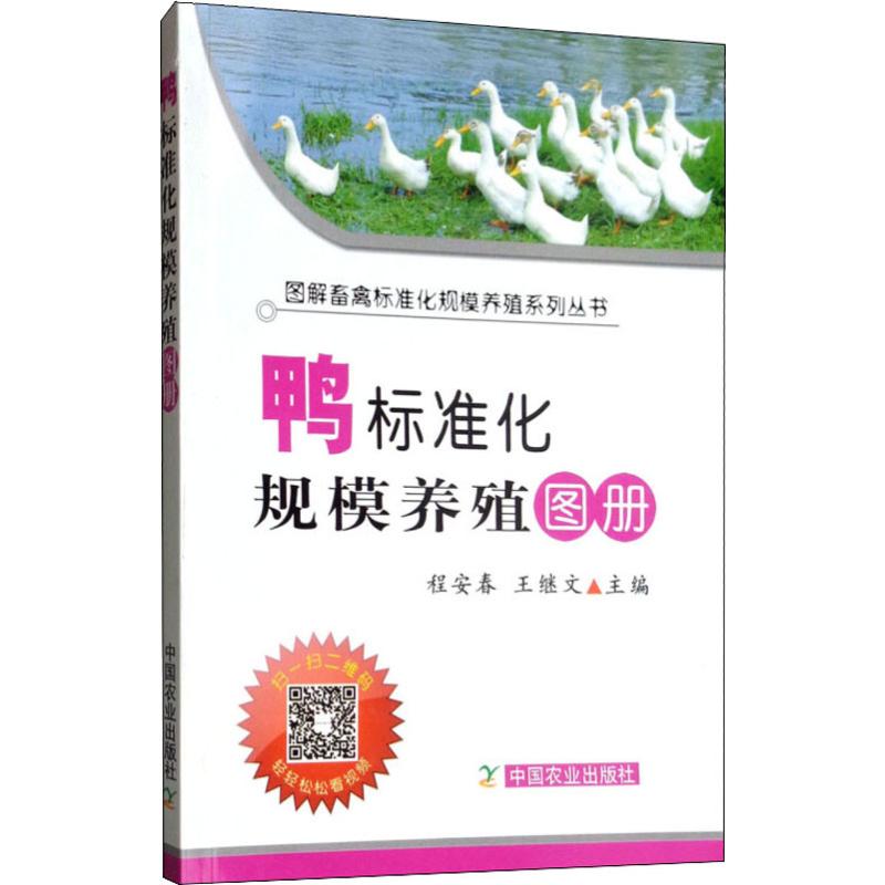 新华书店 全新正版