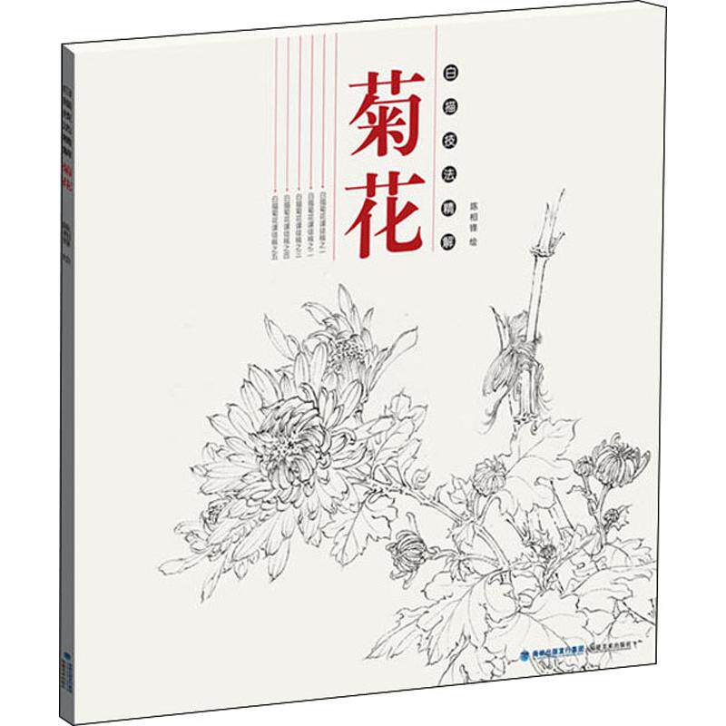 白描技法精解 菊花 陈相锋 国画工笔画线描绘画技法入门 初学自学画法