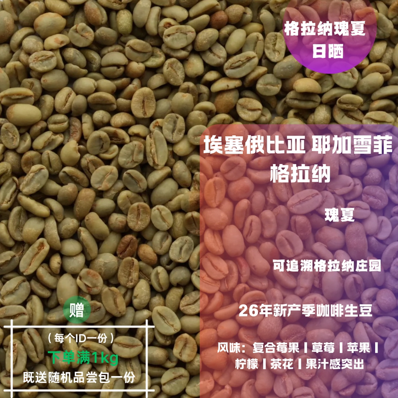 26新产季咖啡生豆 埃塞俄比亚 耶加雪菲 格拉纳 瑰夏 日晒 包邮