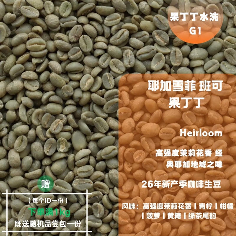 26产季咖啡生豆 埃塞俄比亚 耶加雪菲 班可 果丁丁 水洗G1