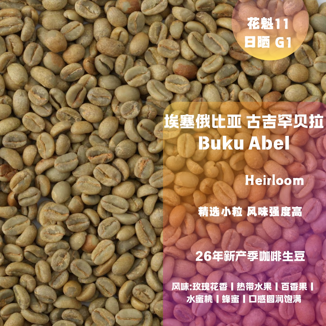 2026新产季埃塞古吉罕贝拉BUKU ABEL日晒 花魁11 2350m 咖啡生豆