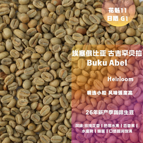 2026新产季埃塞古吉罕贝拉BUKU ABEL日晒 花魁11 2350m 咖啡生豆
