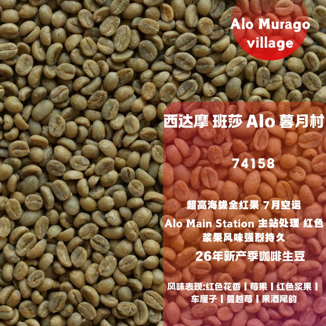 26新产季咖啡生豆 埃塞俄比亚 西达摩 班莎 Alo Murago 74158日晒