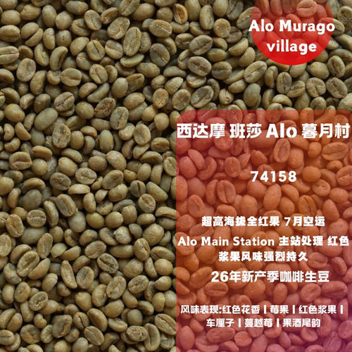 26新产季咖啡生豆 埃塞俄比亚 西达摩 班莎 Alo Murago 74158日晒