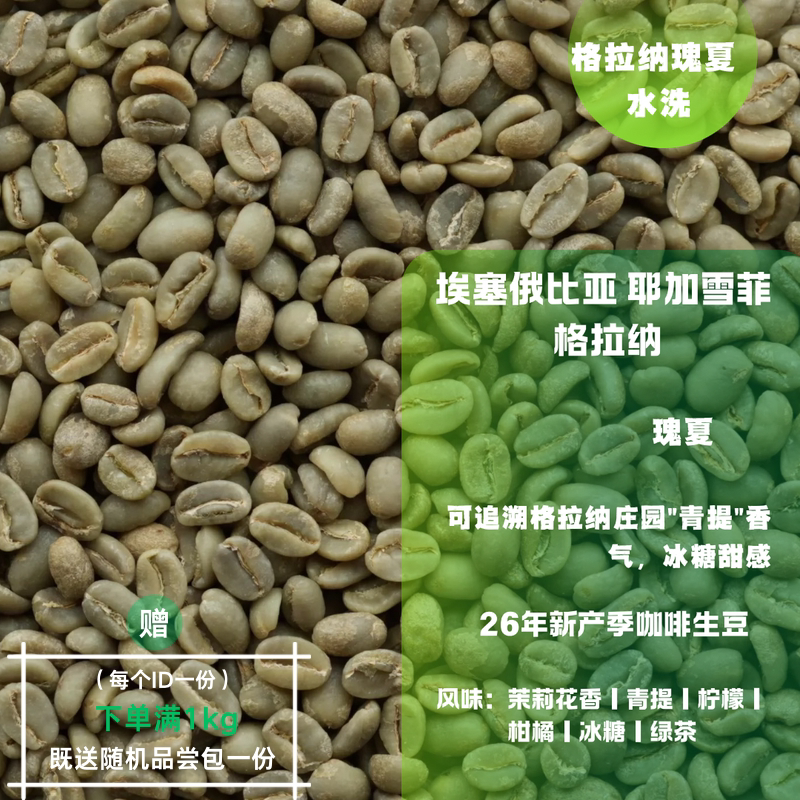 26新产季咖啡生豆 埃塞俄比亚 耶加雪菲 格拉纳 瑰夏 水洗 包邮