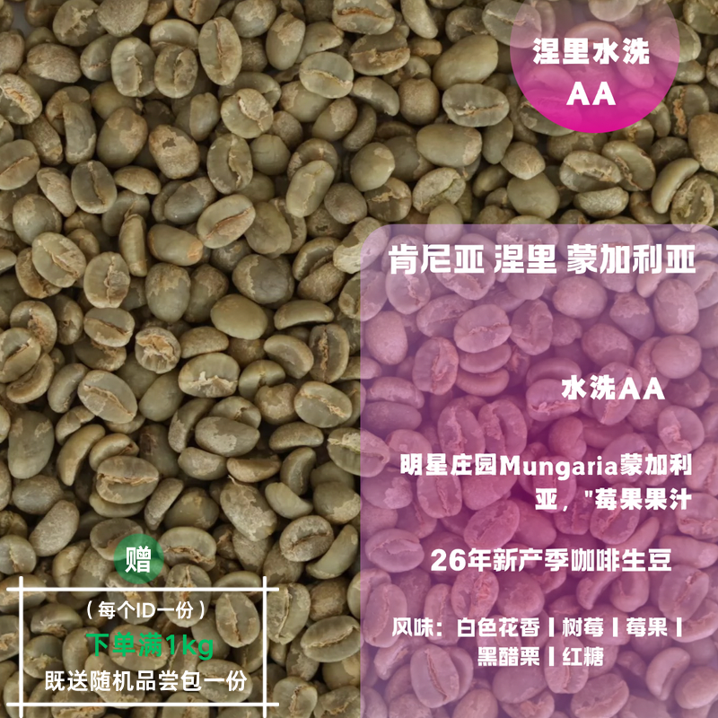 26新产季咖啡生豆 肯尼亚 涅里 蒙加利亚 水洗 AA 咖啡包邮