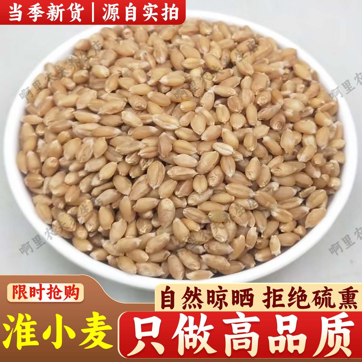 中药材淮小麦 天然纯 怀小麦 小麦茶浮小麦生麦芽 新货500g克包邮