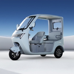 金彭极光三轮车篷车家用接送孩子上下学老人代步休闲电动三轮车