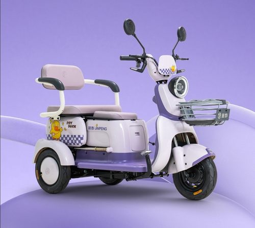 金彭V5电动三轮车家用小型女士接送孩子老人代步瓶车国标可上牌