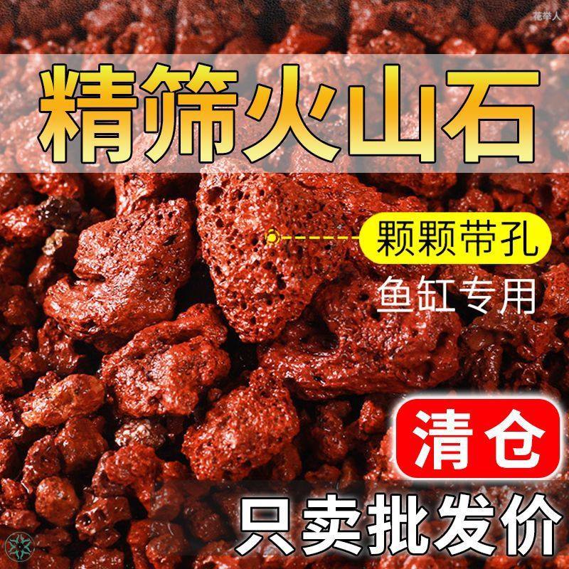火山石颗粒鱼缸水族造景垫底砂古法养鱼材料大块过滤火山岩独立站,农用物资,育苗/栽培基质,淘宝优惠券,粉丝福利购,淘宝优惠卷