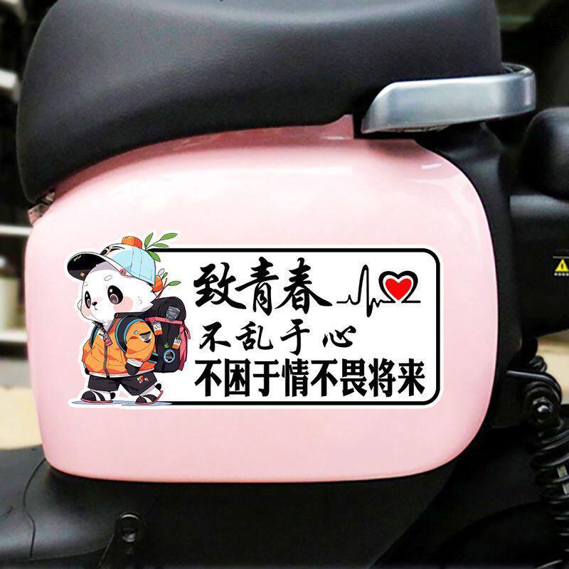 青春装饰车贴励志语录个性致青春汽车装饰贴/反光贴