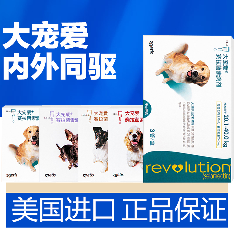 小型犬驅蟲藥大寵愛狗狗